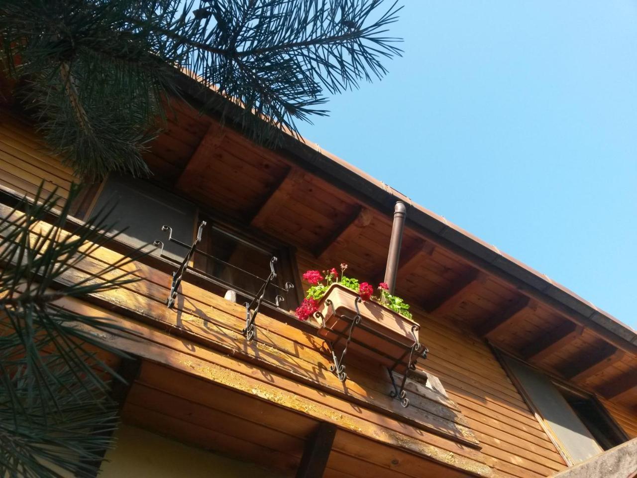 Casa Mica Guesthouse Bucarest Exterior foto