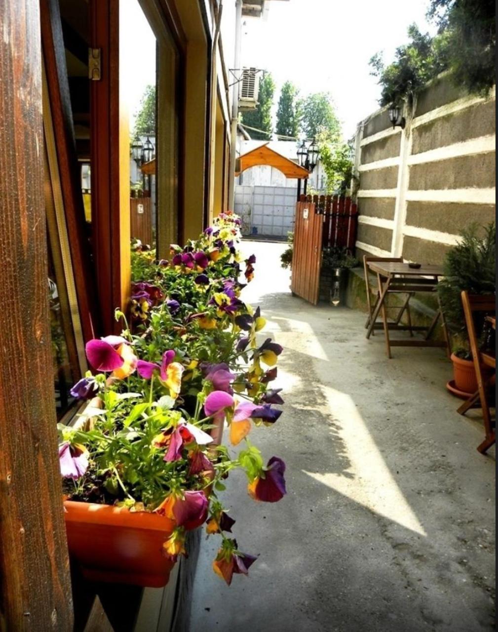Casa Mica Guesthouse Bucarest Exterior foto